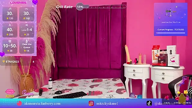 mitzukywinteer webcam