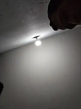lunaywolfgray webcam