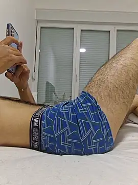 FrameBoy webcam