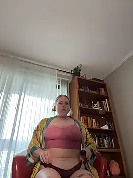 heyheyitssage webcam