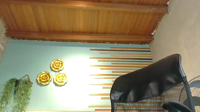 aalejo_gray webcam