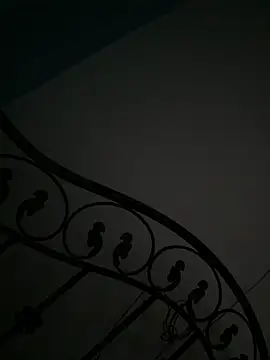 dirty_sexcouple webcam