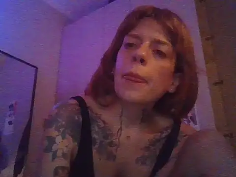 plsmecha webcam