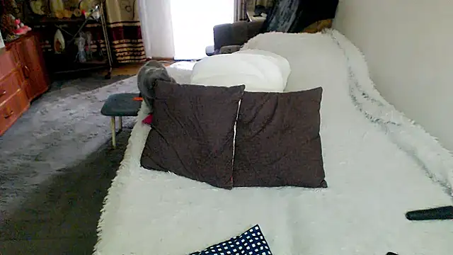 sex2 webcam