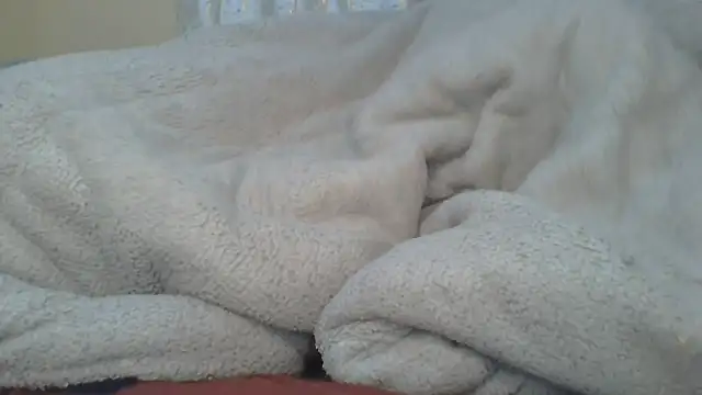 ndivhuwomuleya webcam
