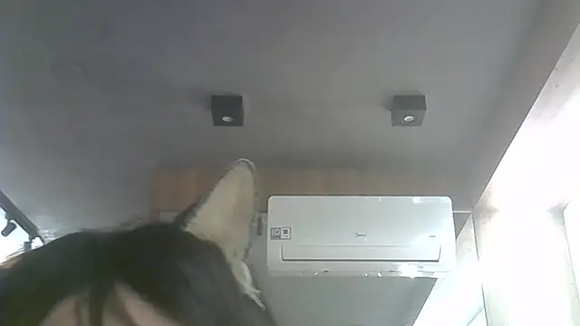 SkinnyKitten webcam
