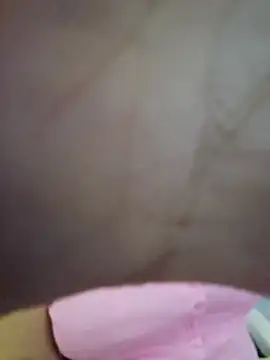 LadyTouch webcam
