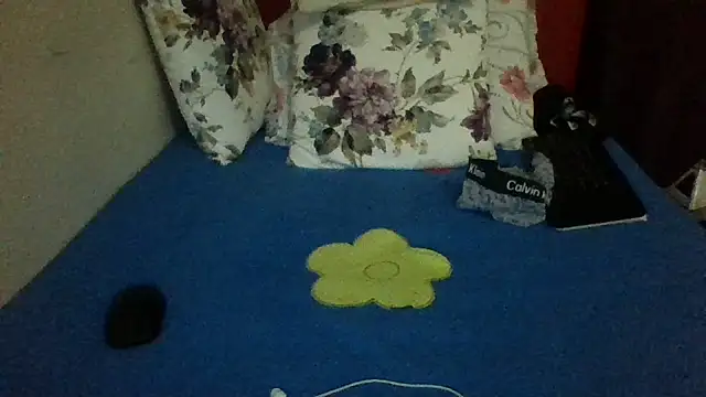 st206boy webcam