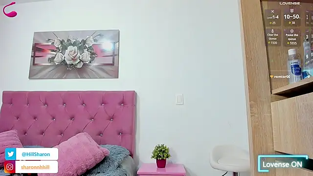 sharon_hill webcam