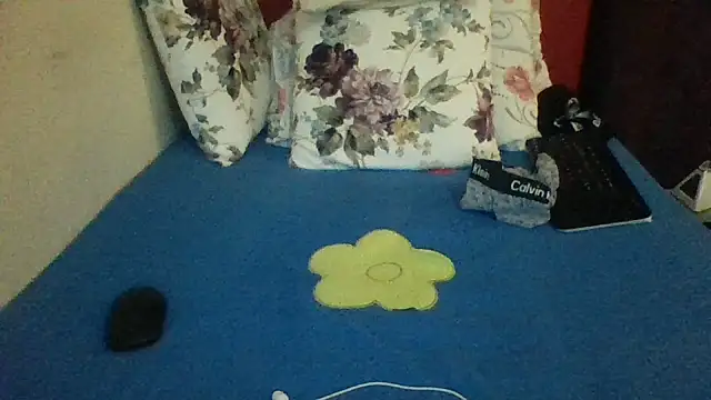 st206boy webcam