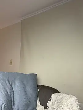 Samispank webcam
