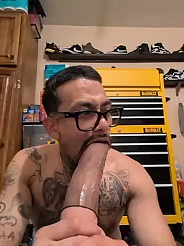 Cnutt310 webcam