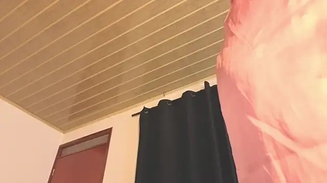 Renaxi_Smith webcam