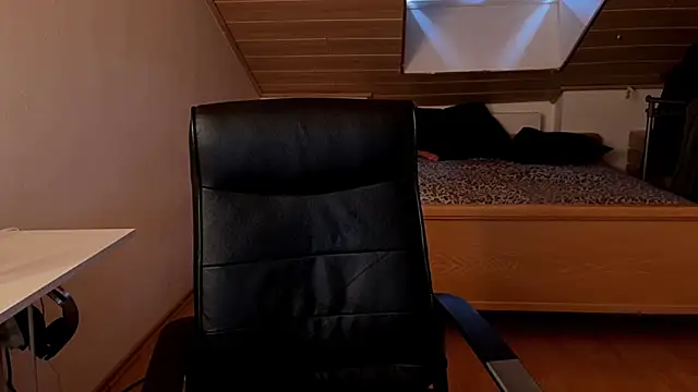 Bez3ybik webcam