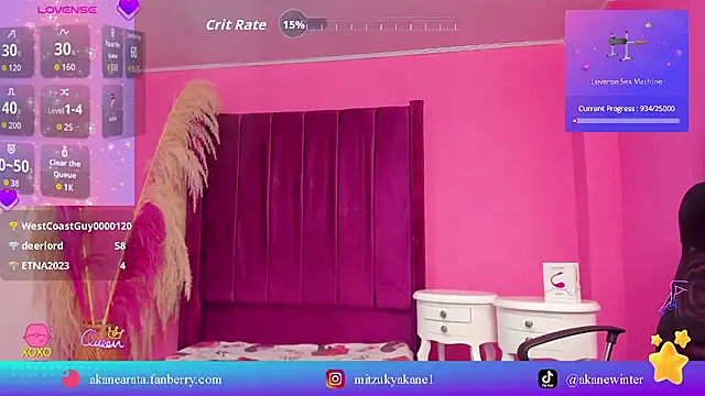 mitzukywinteer webcam