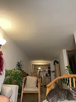 6nalanie webcam