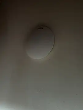 sianja webcam