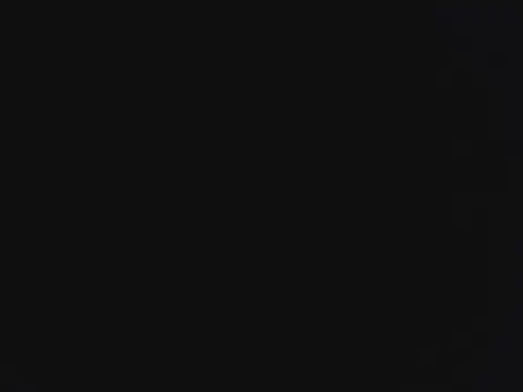 novilho18piroc webcam