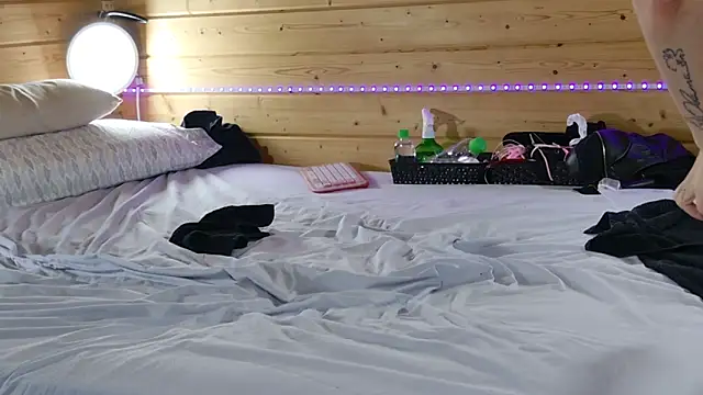 wild41 webcam