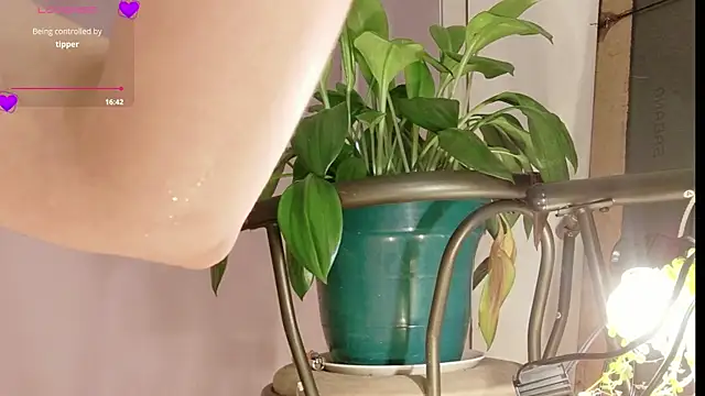 rebbecawhite_asmr - Rebbecawhite_ASMR's free webcam - UK Sex Cams