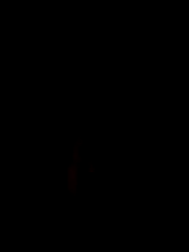 N3V3RPANIC@xh webcam