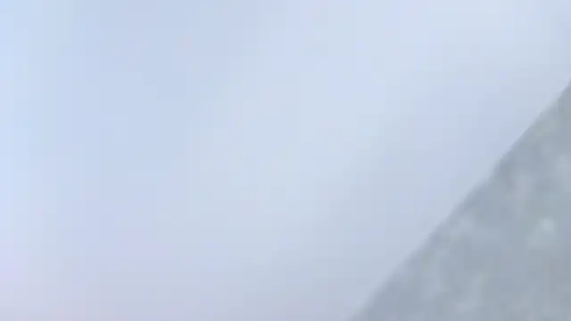 Vivyboo111