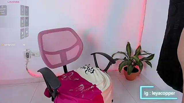 Leyacopper_ webcam