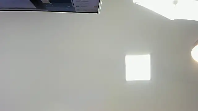 sven_basquia webcam