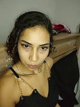 AsLince webcam