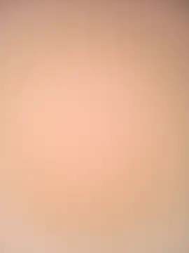 Lema-01 webcam