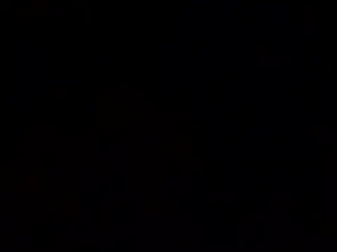Luulu-69
