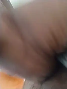 Desiandaj webcam
