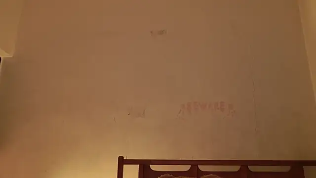 MoonLipsON- webcam