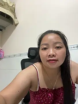Senkolive webcam