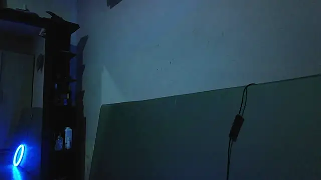 MilanXbunny webcam