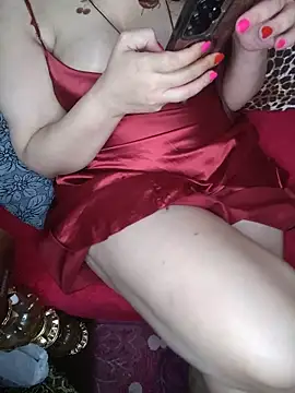 bikylov webcam