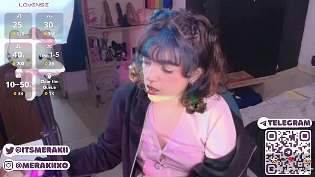 meraki_fraise webcam