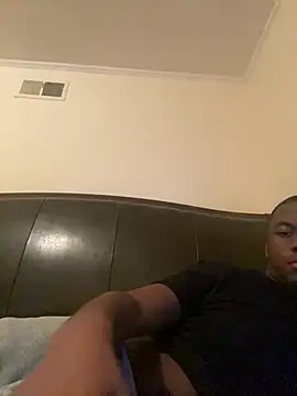 ThickDic28 webcam
