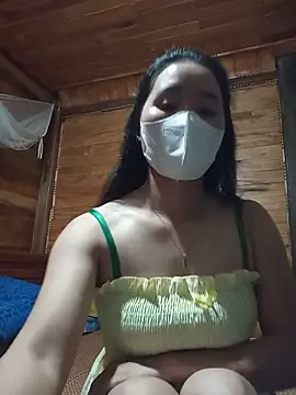 Td3di webcam