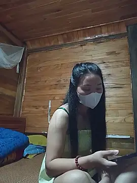 Td3di webcam