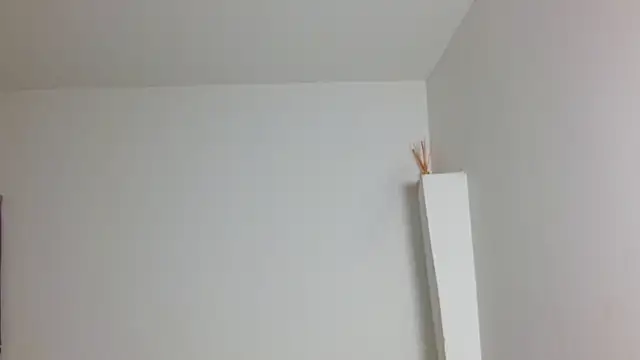 Twinkcock22 webcam