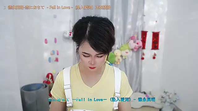 Fan_ting webcam