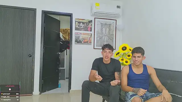 Voyeurism_guyss webcam