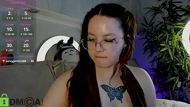 Krysadapp webcam