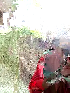 Co_punam webcam