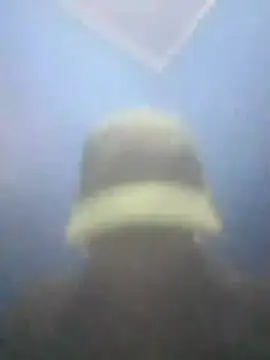 S7LEALTADPERVLIMA7 webcam