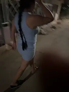 Exotic_street webcam