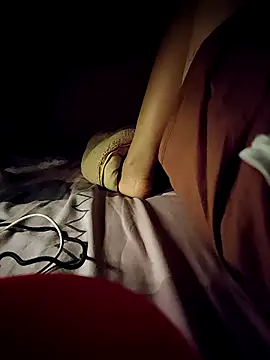 -Tara-a webcam