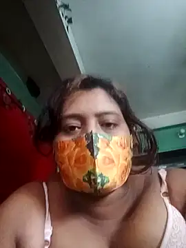 Toma-54 webcam