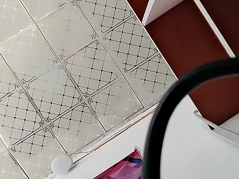 Xixi-4520 webcam